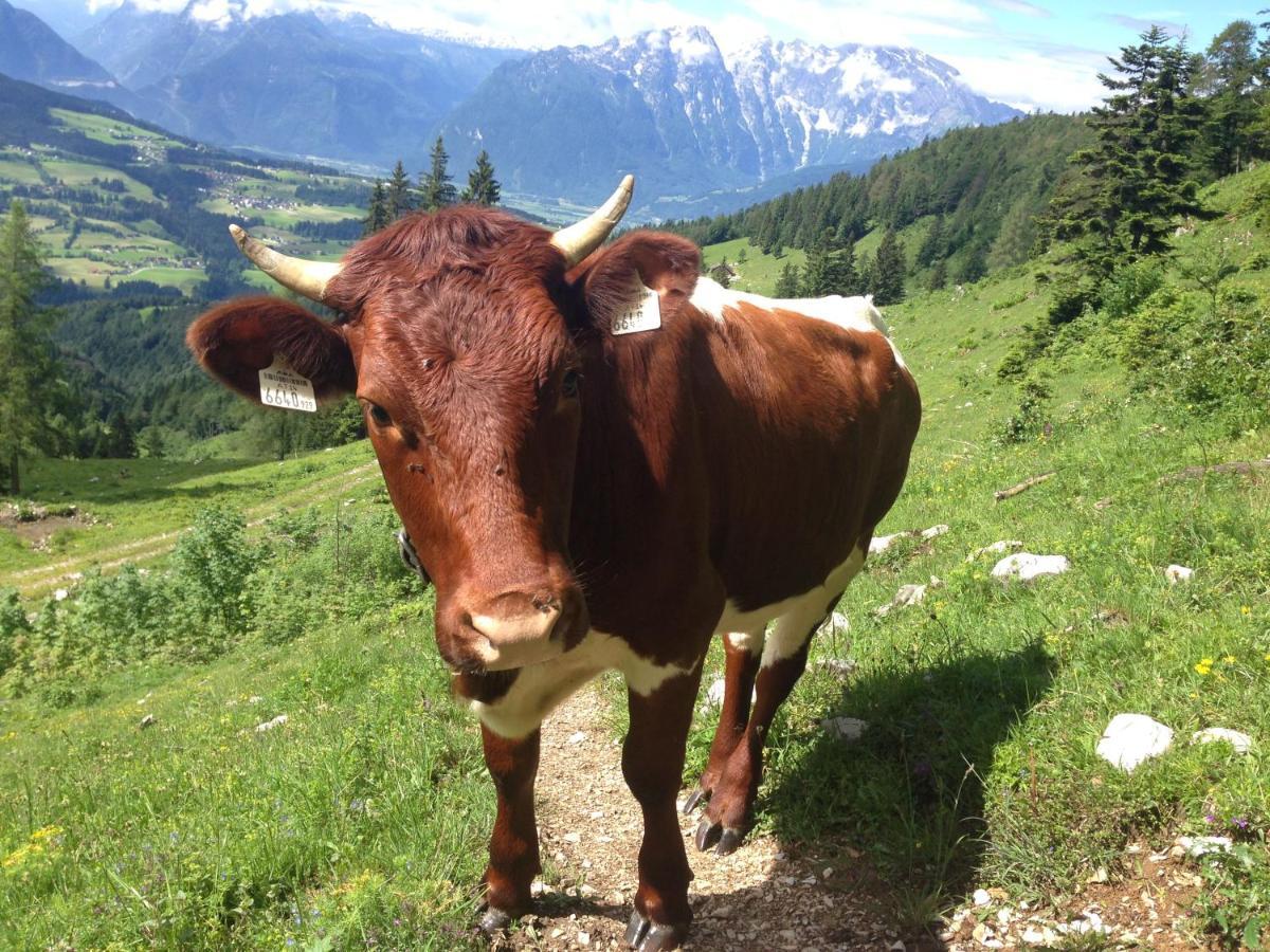 Ferienwohnung Hager Kuchl Buitenkant foto